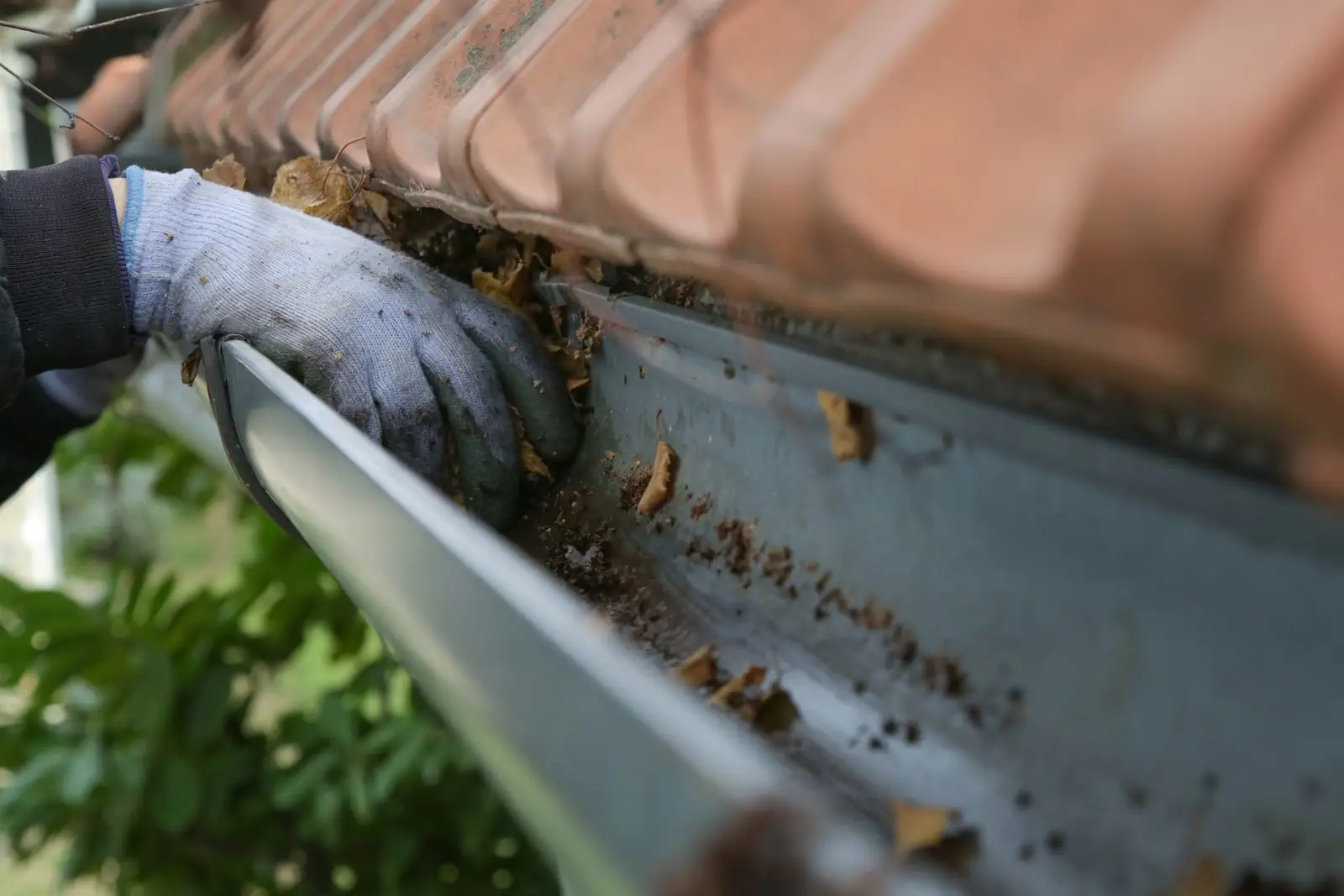 Gloved hand clearing leaves and debris from a gutter