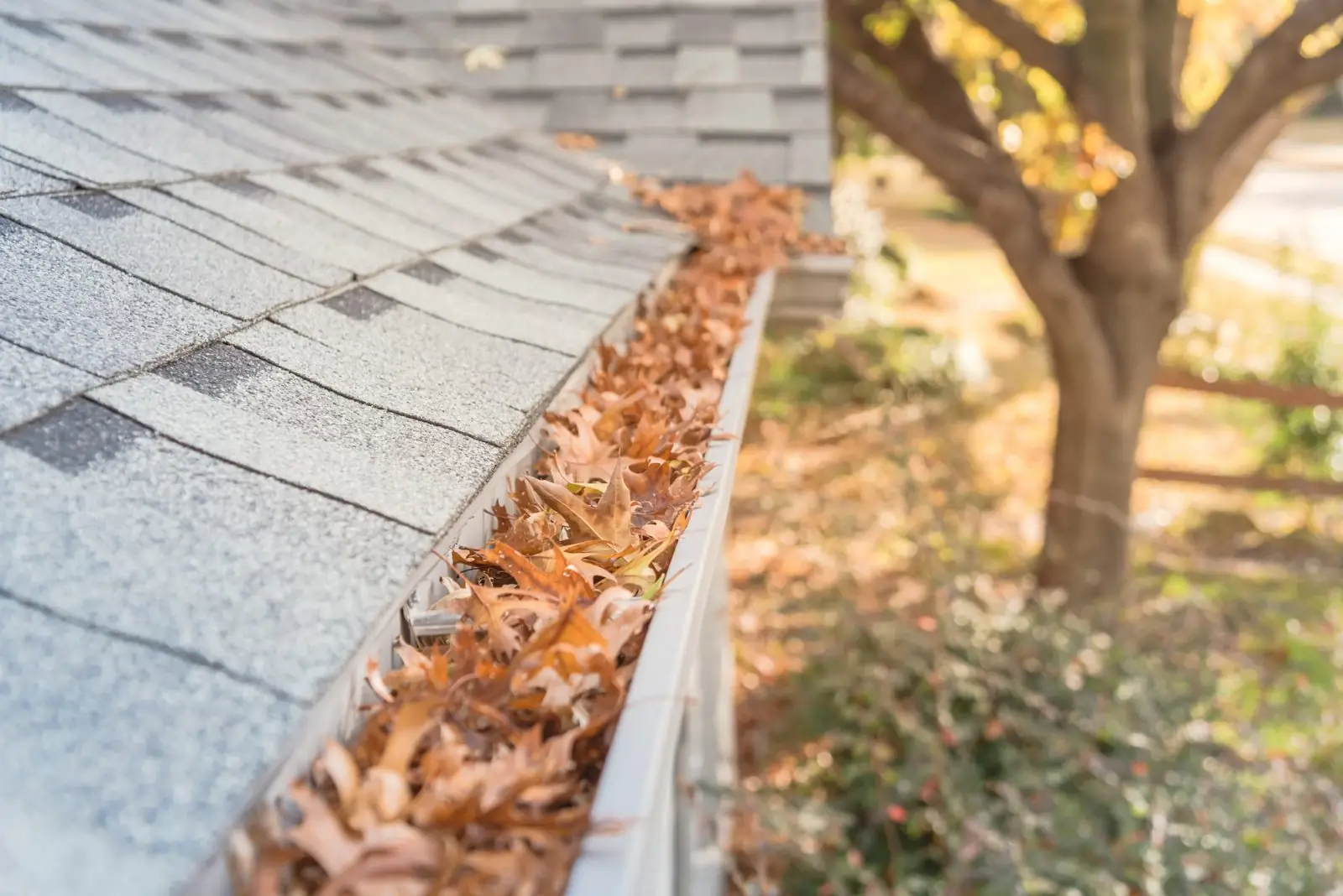 Gutter packed with fall leaves before cleaning in Carrollton, GA
