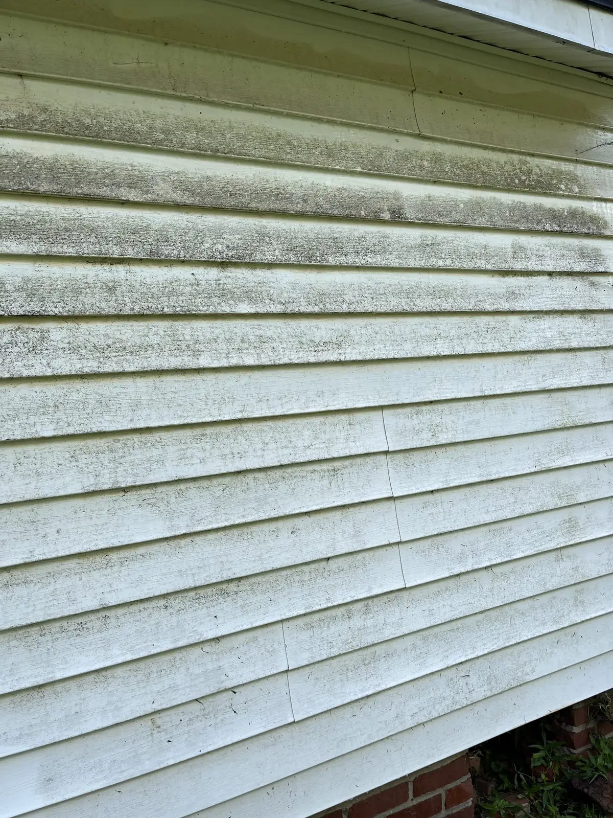Algae-stained siding before soft washing in Bremen, GA