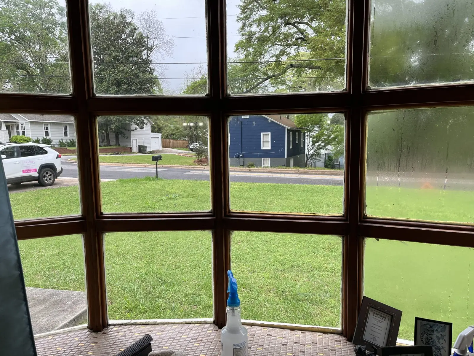 Bright living room with clean windows in Carrollton, GA
